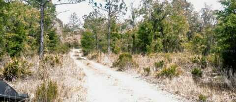 0 NE 61ST LANE, WILLISTON, FL 32696