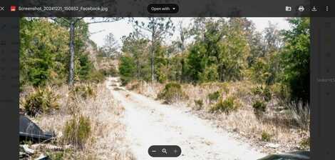 0 NE 61ST LANE, WILLISTON, FL 32696