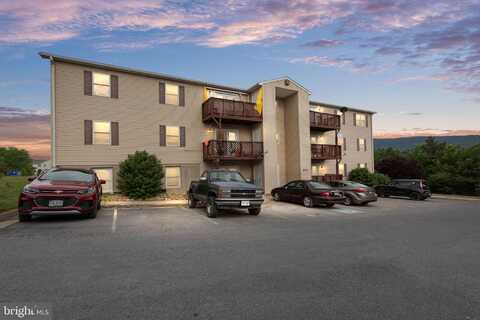 245 BRANDY COURT, STRASBURG, VA 22657
