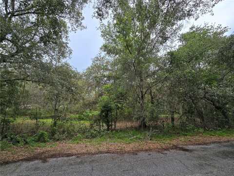 13311 MIDWAY AVENUE, ASTATULA, FL 34705