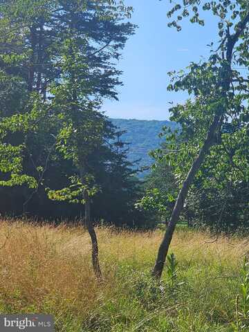 609 RUPPENTHAL, BERKELEY SPRINGS, WV 25411