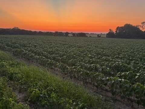 0 Hollis Dairy Road, Newton, AL 36352