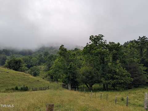 Tbd Robinette Valley Road, Duffield, VA 24244