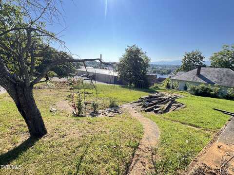 124 South Highland Avenue, Greeneville, TN 37743