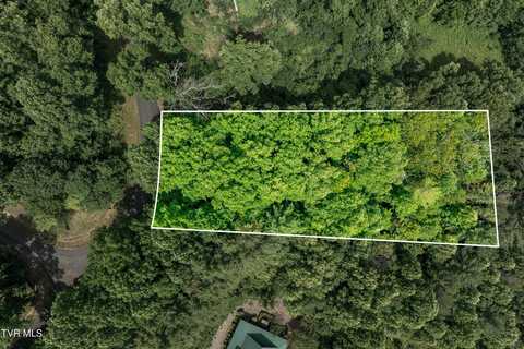 Lot 12 Lake Ridge Road, Butler, TN 37640