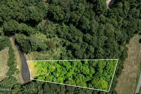 Lot 31 Lake Ridge Road, Butler, TN 37640