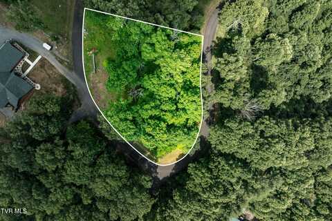 Lot 18 Lake Ridge Road, Butler, TN 37640