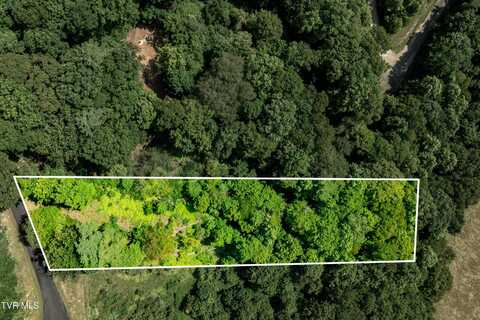 Lot 32 Lake Ridge Road, Butler, TN 37640