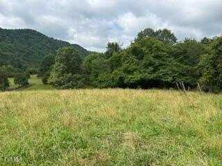 0 0 Trent Valley, Sneedville, TN 37869