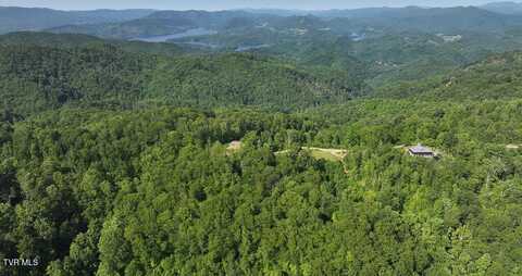 1405 Tamarack Court, Butler, TN 37640