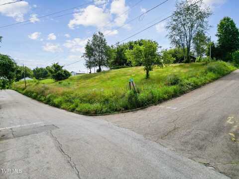 0 Leonard Street, Greeneville, TN 37745