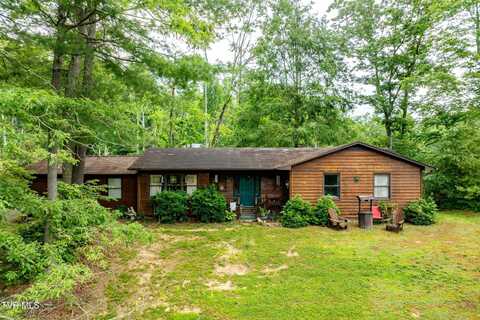 198 Forest Wood Lane, Mountain City, TN 37683