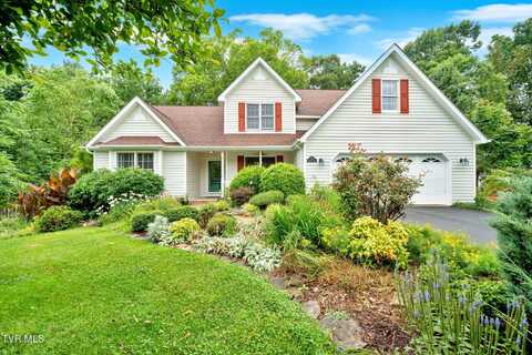 129 Hillview Court, Gray, TN 37615