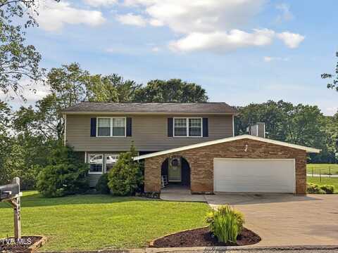 4404 Stillwood Avenue, Kingsport, TN 37664