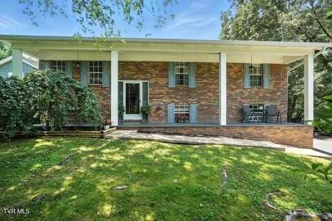 76 Tangleberry Lane, Afton, TN 37616