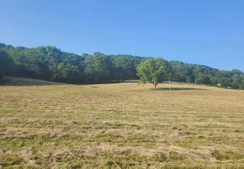 Wilkerson Hollow Ln Lot 2, BRUSH CREEK, TN 38547