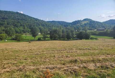 Wilkerson Hollow Ln Lot 5, BRUSH CREEK, TN 38547
