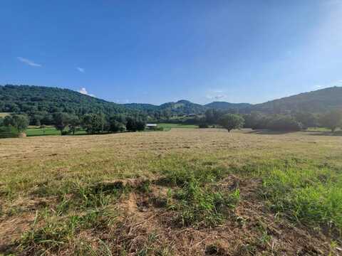 Wilkerson Hollow Ln Lot 3, BRUSH CREEK, TN 38547