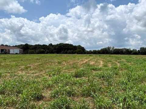 Caney Branch Rd, Morrison, TN 37357