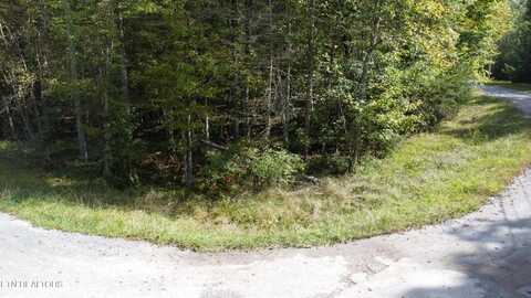 Poston Drive, MONTEREY, TN 38574