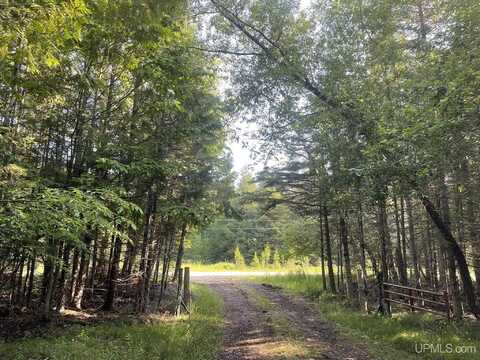 TBD 17th Rd, Garden, MI 49835