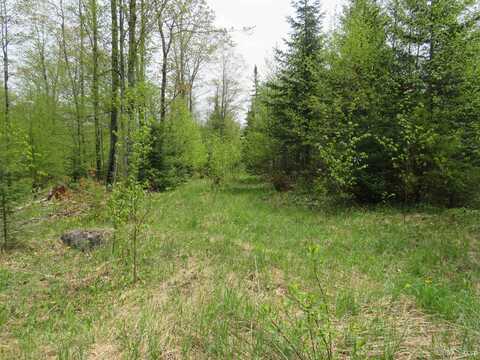 TBD Section 16, Covington, MI 49919