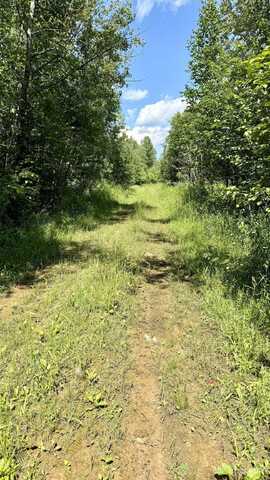 TBD Plantation, Rock, MI 49880