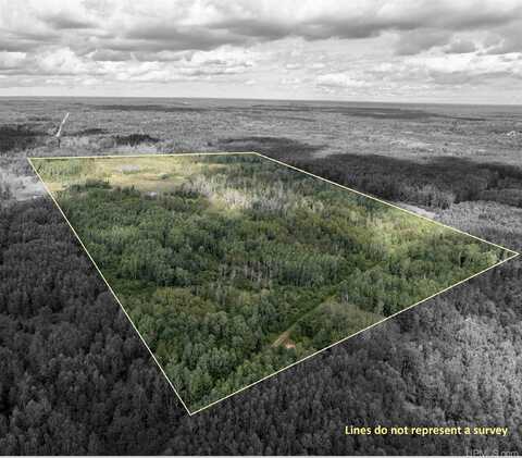 TBD Plantation, Rock, MI 49880