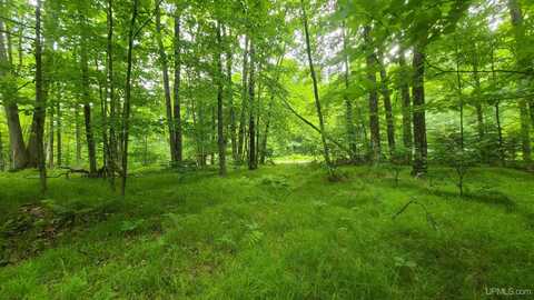 S Hilbert, Fence T-WI, WI 54120