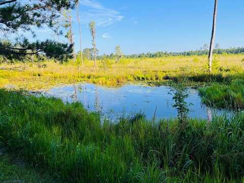 3592 TRIPLE LAKE CIR, Valdosta, GA 31601