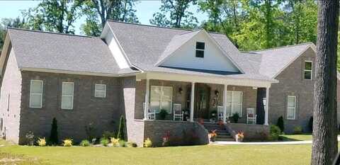381 GRAY Cir, Winfield, AL 35594