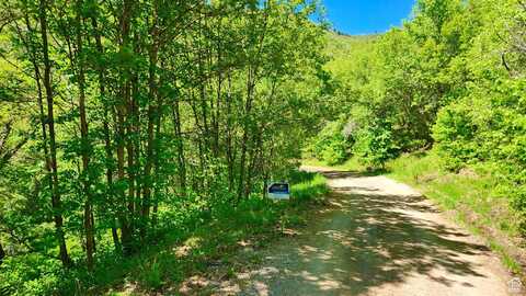 22440 N ELK MEADOWS DR, Fairview, UT 84629