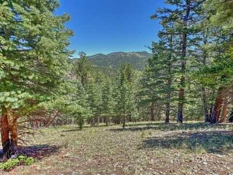 796 N Matterhorn Cir, Westcliffe, CO 81252