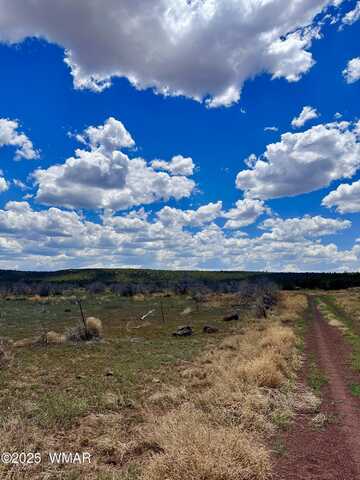 13 County Rd 8122, Concho, AZ 85924
