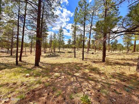 Par 007h Chevelon Rd, Heber, AZ 85928