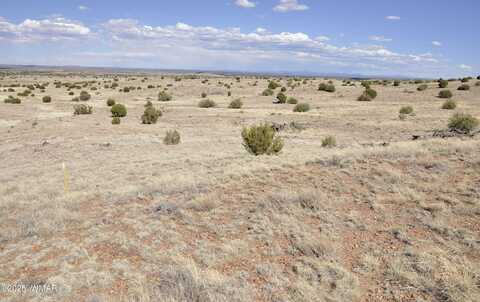 23g Powerline Rd, Taylor, AZ 85939
