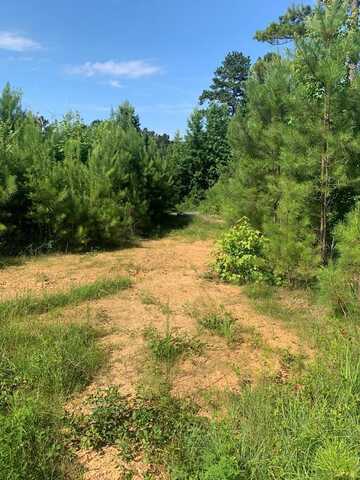 Culp Lake Rd, (tract 2), Cedartown, GA 30125