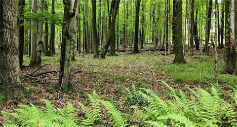 773,Sec 15 St.Barthelemy rd, Du Bois, PA 15801