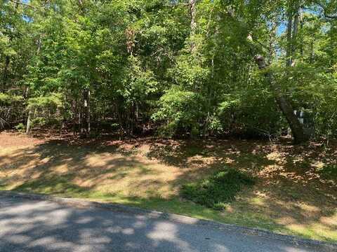 41 Turtle Head Drive, Salem, SC 29676