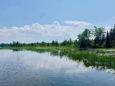Macey Lane, Alpena, MI 49707