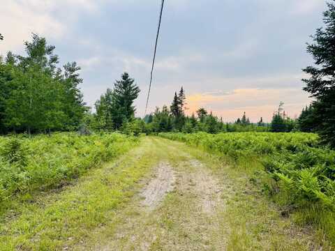 6378 Macey Lane, Alpena, MI 49707