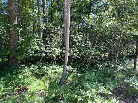 Pingree Street lot: 37-39, Roscommon, MI 48653