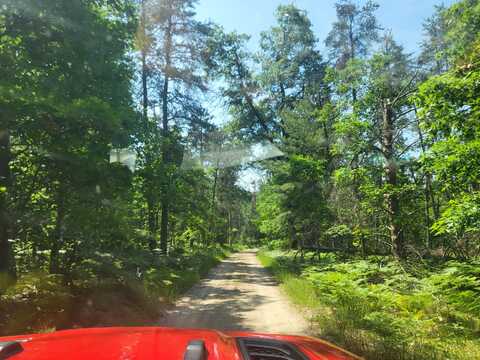 VL W Jones Lake Road, Grayling, MI 49738