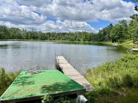 1830 Dollar Lk Road, Lewiston, MI 49756