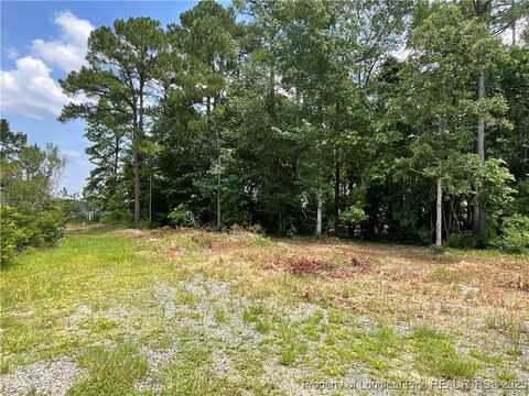 226 Clearview Court, Sanford, NC 27332