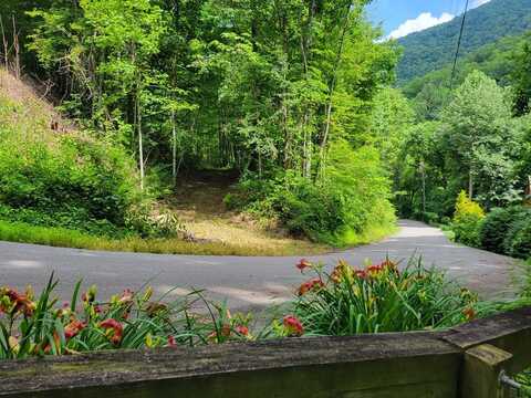 100 Village Ln, Waynesville, NC 28786