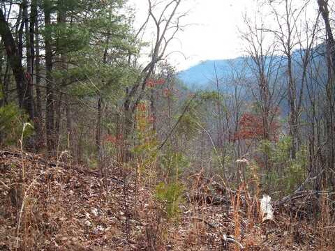 Lot 11 Cedar Cliff/Stovall, Tuckasegee, NC 28783