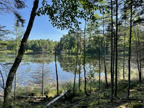 Lot A Red Spruce Way, Mount Desert, ME 04660