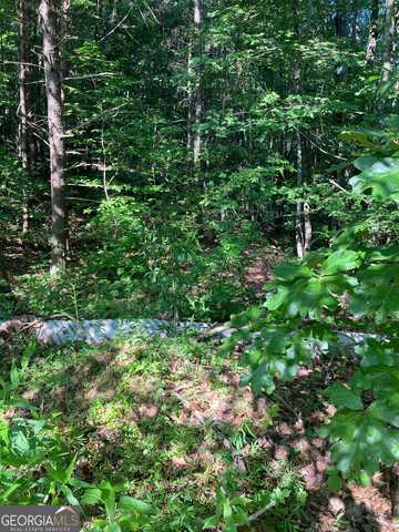 0 Grant Mill Road, Alto, GA 30510