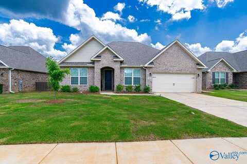 3033 Henry Road SE, Decatur, AL 35603